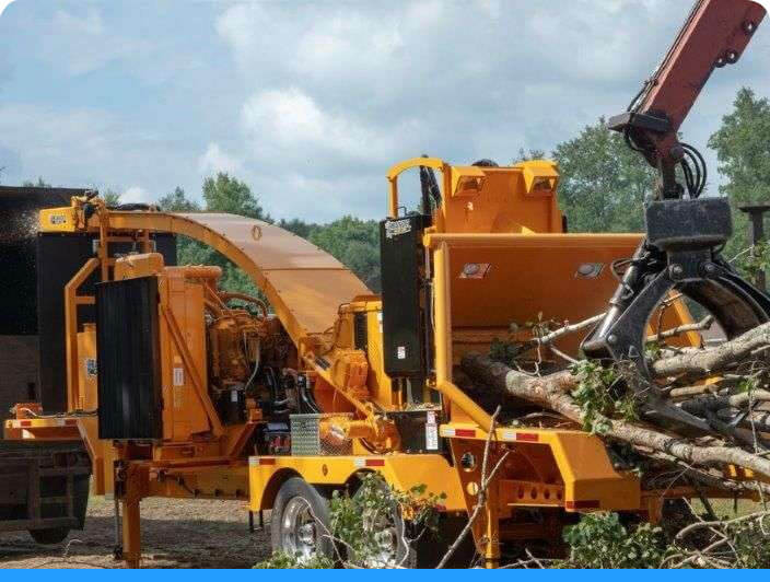 2590 2590